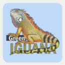 Search for green iguana stickers Wild