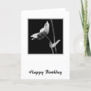 Search for stunning birthday cards Floral