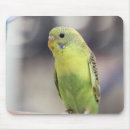 Search for parakeets mouse mats Green