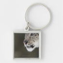 Search for contemplative key rings Concentration