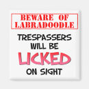 Search for labradoodles magnets Dog