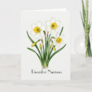Search for narcissus cards Birth month