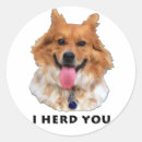 Search for herding round stickers Dog