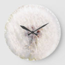 Search for dandelion clocks Seed