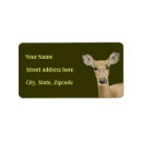 Search for hunting return address labels Doe