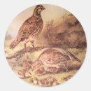 Search for vintage chicks stickers Victorian