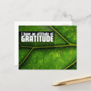 Search for with attitude postcards Motivational