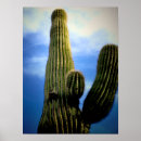 Search for high desert posters Cacti