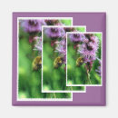 Search for bee magnets Flower
