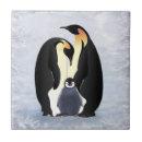 Search for baby penguin tiles Birds
