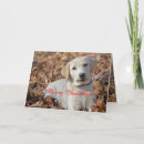 Search for yellow labrador retriever christmas cards Dog