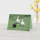 Search for funny leaving cards Moving