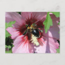 Search for businesses postcards Flowers