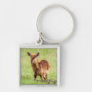 Search for getty key rings Photography