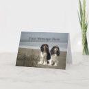 Search for cavalier king charles Cavaliers