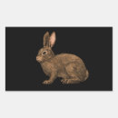 Search for fur stickers Cute