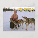 Search for sled dog postcards Snow