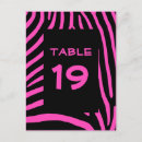 Search for zebra and pink postcards Pattern