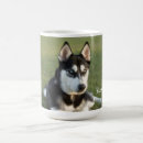Search for husky puppy mugs Dog