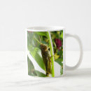 Search for grasshopper mugs Flower