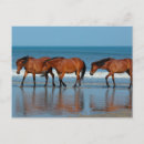 Search for corolla cards invites Horses