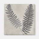 Search for fern magnets Leaves