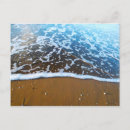 Search for seashell photography postcards Sand