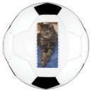 Search for cat animal footballs Cats