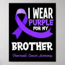 Search for my brothers posters Purple
