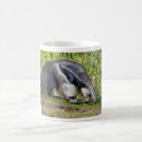 Search for anteater mugs Animal