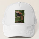 Search for red panda hats Wildlife