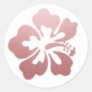 Search for pink hibiscus flower stickers Luau