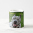 Search for pit bull dog mugs Terrier