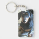 Search for dachshund key rings Pets