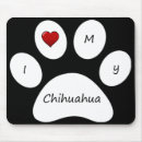 Search for black chihuahua Chihuahuas