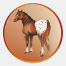 Search for appaloosa horse stickers Western