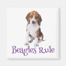 Search for beagle magnets Puppy