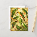Search for amazonian postcards Rainforest