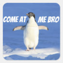 Search for funny penguin stickers Meme