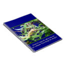 Search for weedy Seahorses