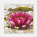 Search for blur magnets Flower