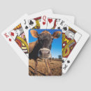 Search for danita delimont playing cards Colour image