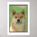 Search for shiba inu art Tan