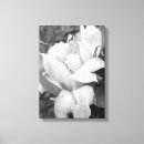 Search for polynesian canvas prints Nature