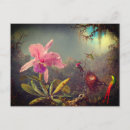 Search for cattleya orchid postcards Hummingbirds