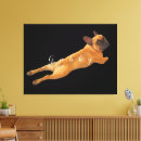 Search for large image art Dog