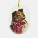 Search for sheltie christmas tree decorations Pets