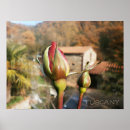 Search for greeting or posters Autumn