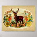 Search for cigar box Vintage