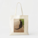 Search for kitteh accessories Tabby